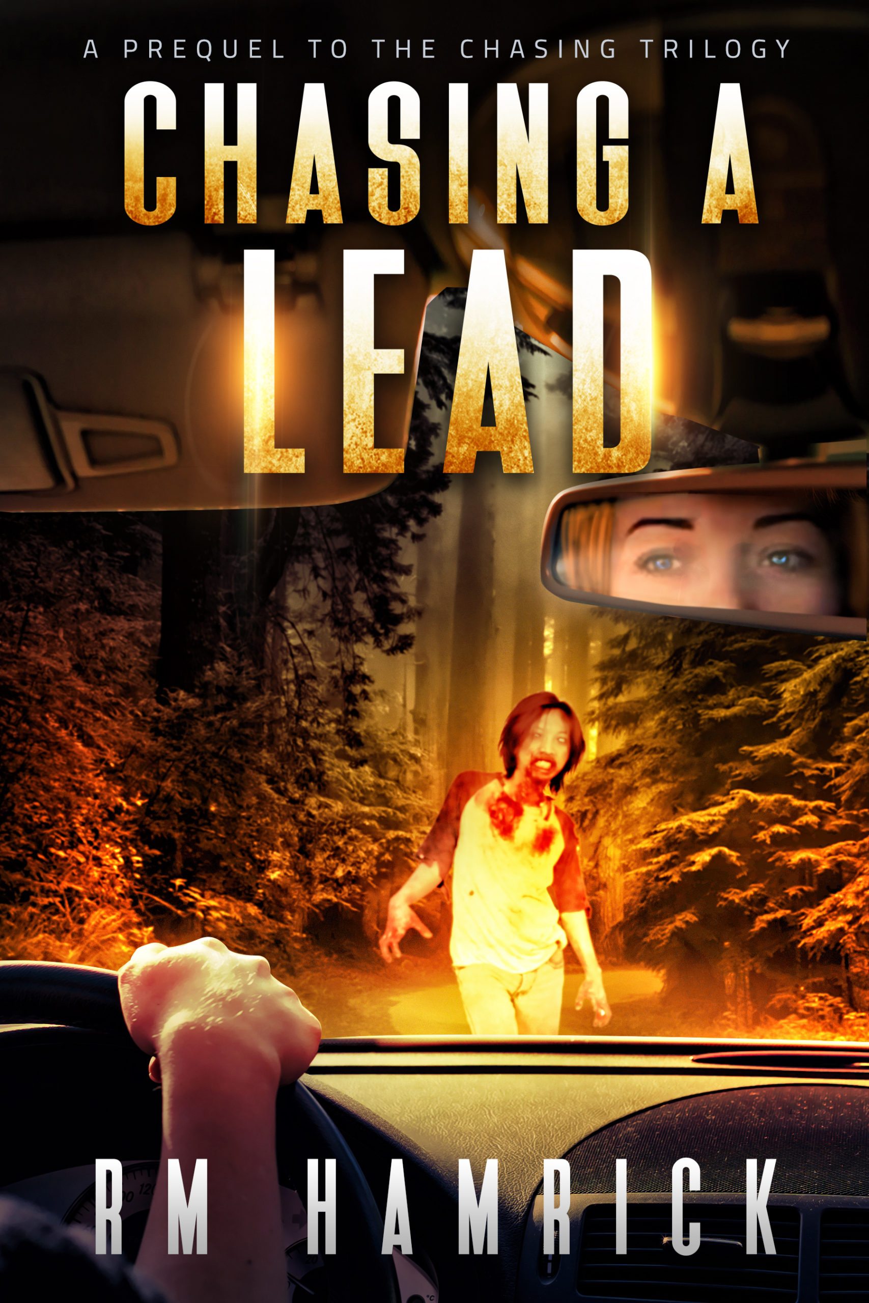 Chasing a Lead Book Cover