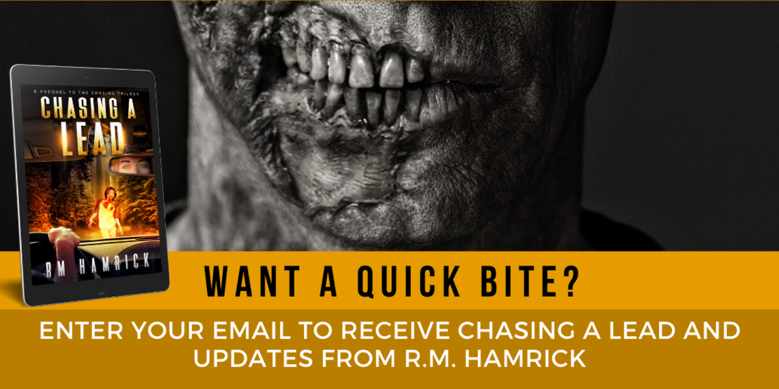 Enter Email to Receive Chasing a Lead and Updates from R.M. Hamrick